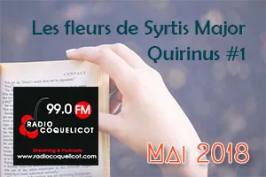 Interview de 2018 sur les Fleurs de Syrtis Major